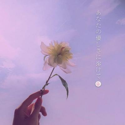 半岛综合娱乐app