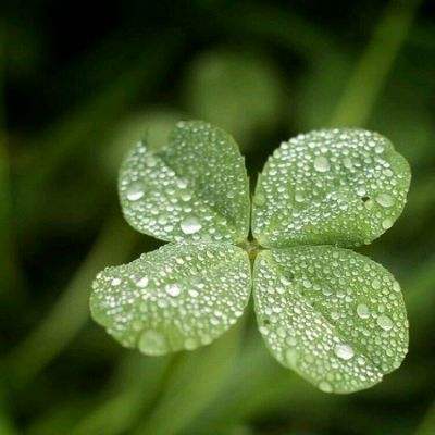 押注篮球的app下载手机版